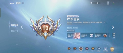 王者荣耀贵族怎么看[图1]