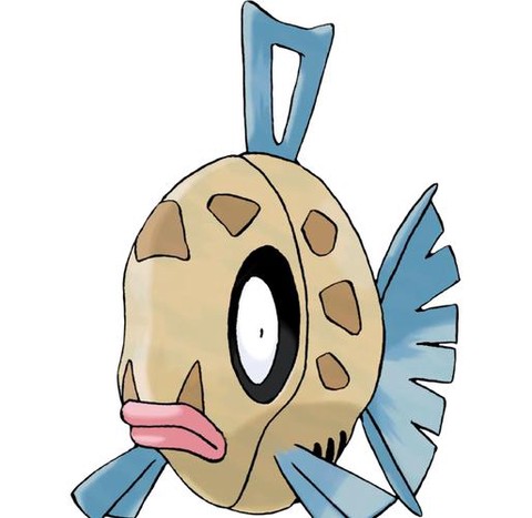 口袋妖怪小丑鱼怎么进化[图1]