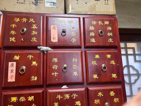 仙剑奇侠传4用什么药[图2]